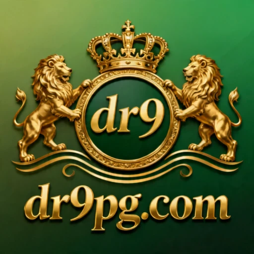 dr9 Logo