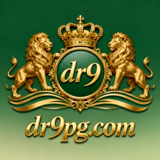 dr9 Logo